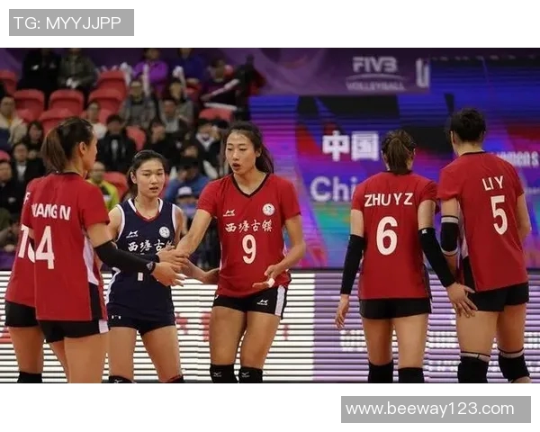 武汉排球队个人能力深度解析与发展潜力探讨